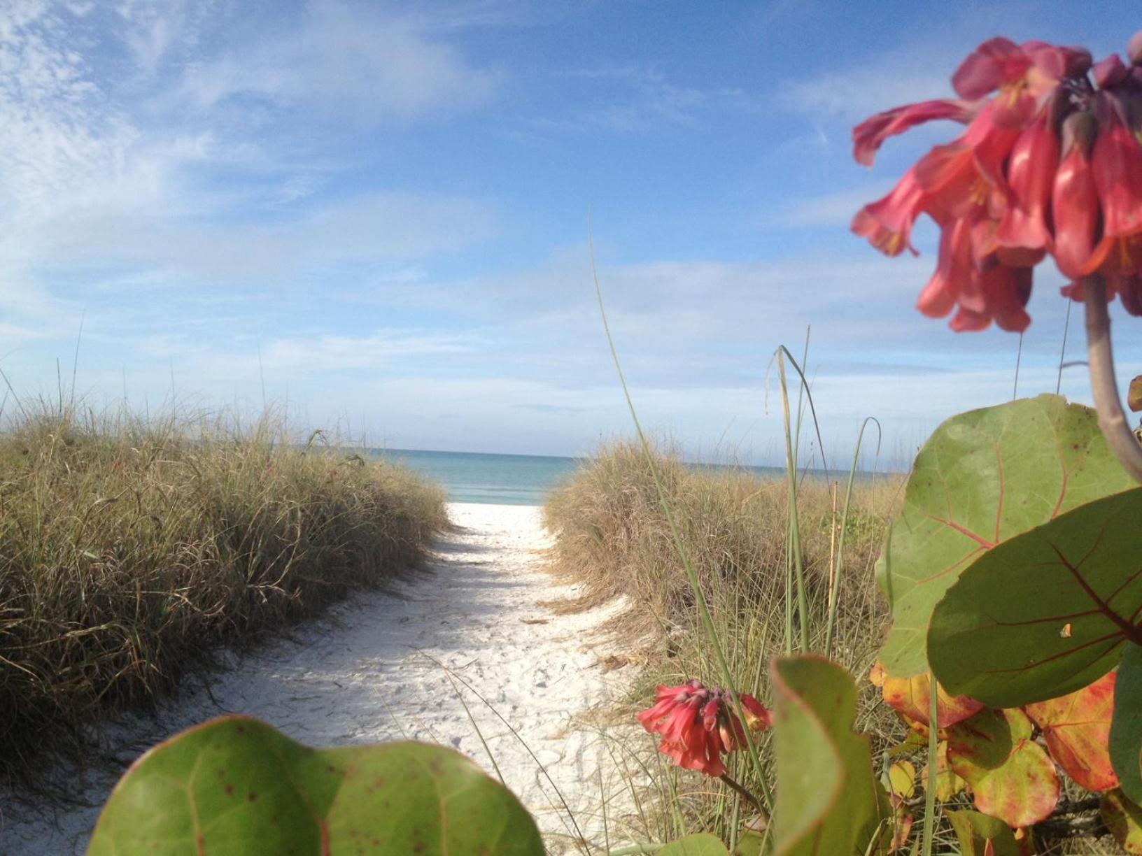 Siesta Key Inn Dış mekan fotoğraf